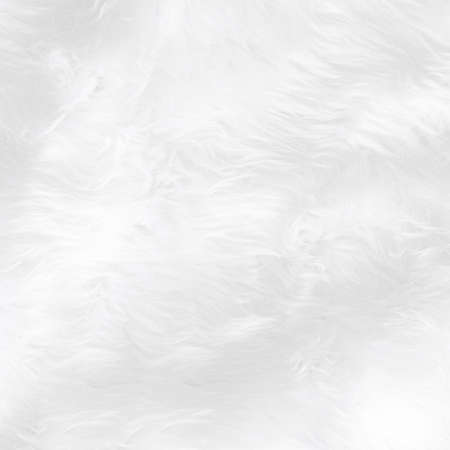 Wide animal white wool sheep background in top view light natural. Grey fluffy seamless cotton panoramic texture. Wrinkled lamb fur coat skin, rug mat raw material,  fleece woolly textile conceptの写真素材