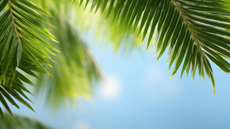 Palm sunday and easter day for welcome Jesus before Easter day. Wooden Cross and palm on white background easter sign symbol concept, World Environment Day Green coconut leavesの素材