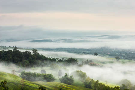 beautiful scenery in the north part of Thailand over the valley of mountain at sun rising giving a beautiful color on the mist in the fieldの写真素材