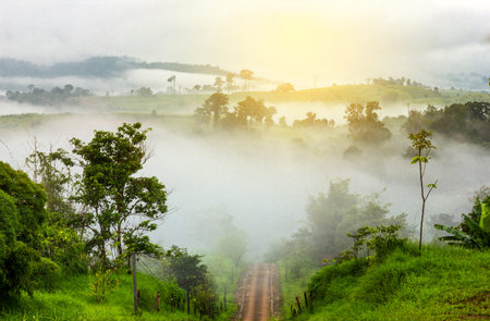 beautiful sunrise in Thailand over the valley of mountain  giving a beautiful color on the mist and the roadの写真素材
