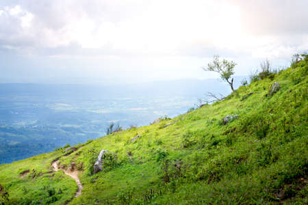 hiking way top of the moutain  in the morning forestの写真素材