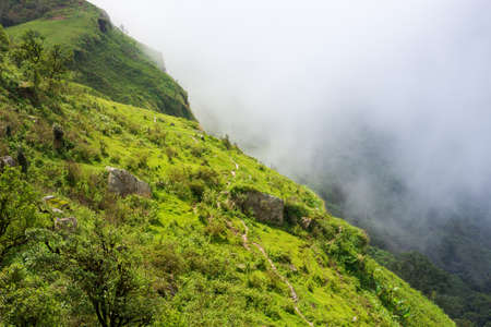 walk way  in green forest top of mountain hiking trail in thailandの写真素材