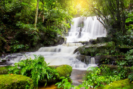 Mun Dang Waterfall in deep forest fresh green rain season in Thailandの写真素材