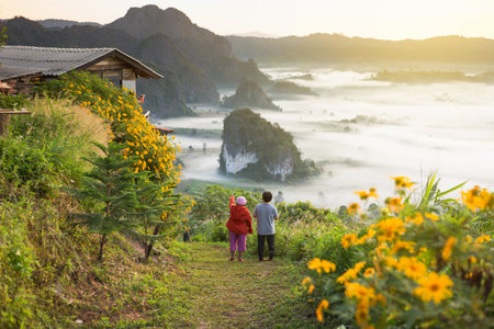 people look at Beautiful sun rise phulangka mountain and the mistの写真素材