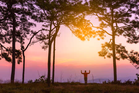 Silhouette of young man on sunset or sunrise in pine forest. Confident teenage boy thinking. Freedomの写真素材
