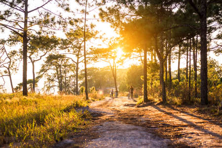 people carry bike along Â trail way with sunset in jungleの写真素材