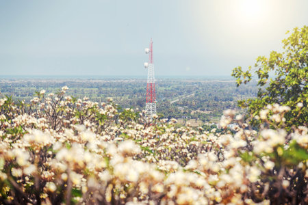 soft focus Telecommunication tower with blur flower foreground