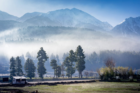Panoramic view of beautiful mountain landscape small village among snow pine trees mountain backgroundの写真素材