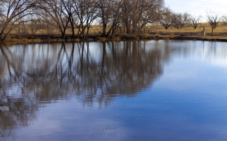 A day at the local parkの写真素材