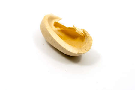 Brushwoodの写真素材