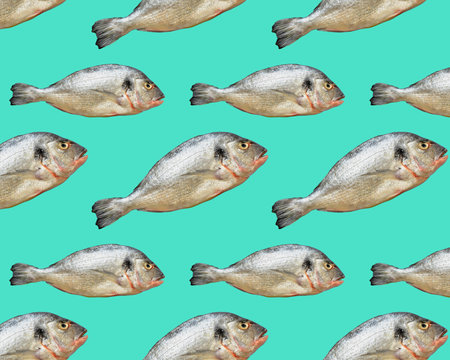 Seamless geometric pattern. Dorado fish on a turquoise background.