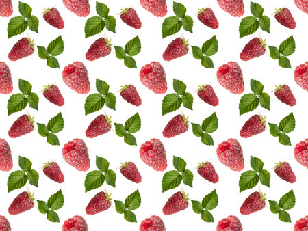Seamless pattern with raspberries on a white background. Simple drawing for packaging, textiles. advertising.の写真素材