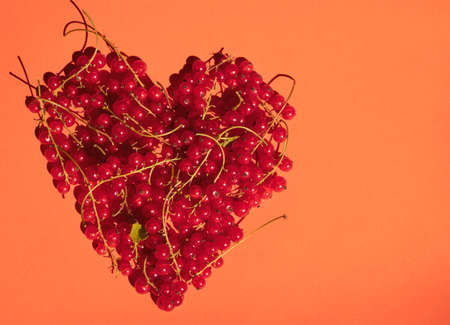 Heart of twigs with red currant berries on a red background. Minimalism. Banner.の写真素材