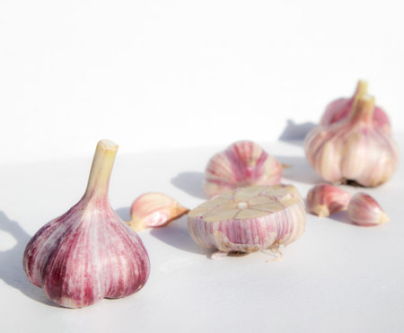 Whole garlic and cloves on a white background with space for text. Spicy food concept. Poster.