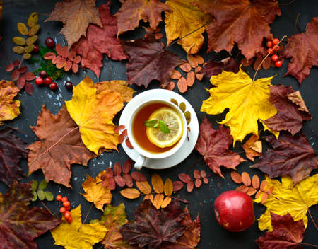 Autumn background with dry maple and rowan leaves, apple and a cup of tea with lemon .. Poster.の写真素材