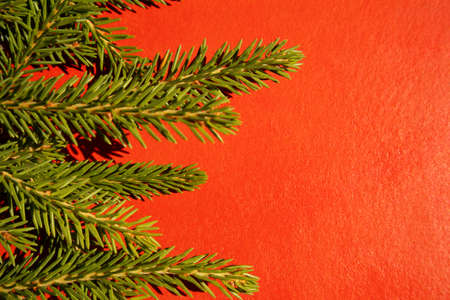 Christmas decoration layout or flatlay with fir branches on red background. Winter, New Year Holidays concept.の写真素材
