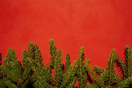 Christmas decoration layout or flatlay with fir branches on red background. Winter, New Year Holidays concept.の写真素材
