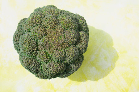 Fresh green broccoli on a light background. Health, green, fresh.