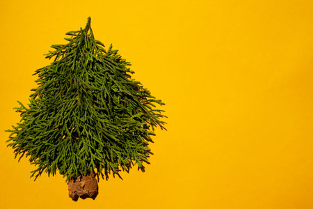 New Year concept - alternative tree made of cypress branches on a yellow background with space for...
