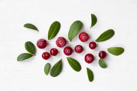 Cranberries with twigs and leaves on a white background with space for text. Natural medicine.