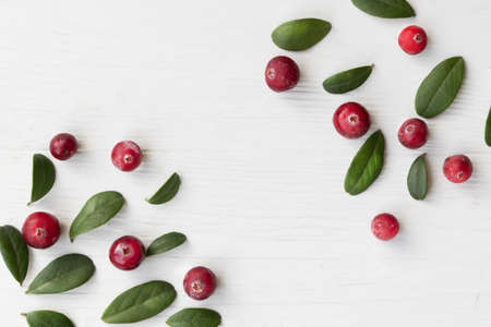 Cranberries with twigs and leaves on a white background with space for text. Natural medicine.の写真素材