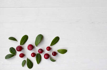 Cranberries with twigs and leaves on a white background with space for text.の写真素材