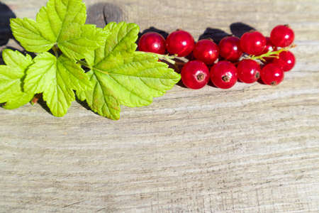 Branch of red currants on a wooden background with space for text. Poster, article.の写真素材