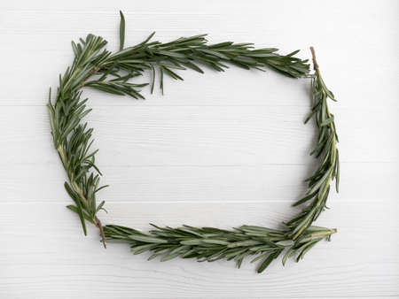 Rosemary sprigs in the form of a frame on a white background with space for text. Layout.の写真素材