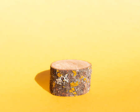 Product stand, wooden natural texture, cylinder shape on yellow background. Advertising layout template.の写真素材