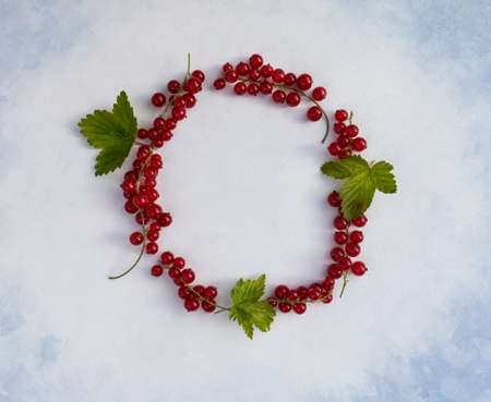 Fresh red currant berries are laid out in a circle on a white background with a place for your text. Poster.の写真素材