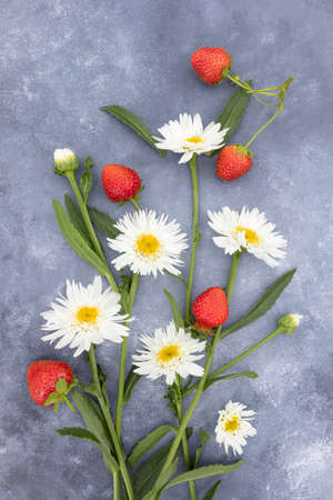 A bouquet of chamomile and strawberry on a gray background .Postcard.の写真素材