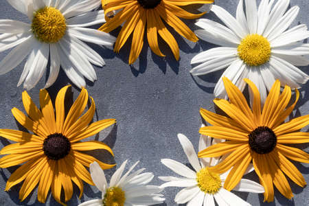 Flower arrangement on the background with a space for text. Top view, flat layout. Postcard.の写真素材