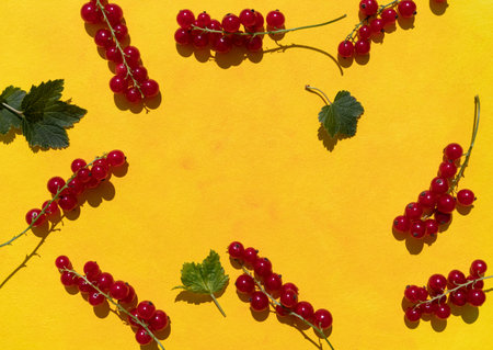 Twigs with currant berries and leaves on a yellow background with space for text. Banner, poster.
