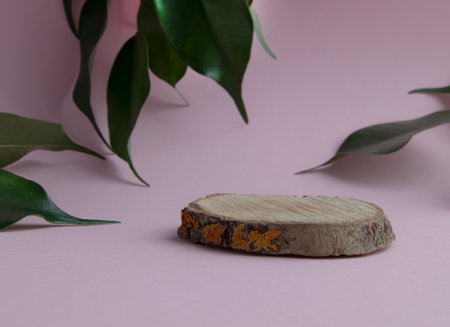 Minimum price with geometric shapes. cylindrical wooden podium on a pink background with green leaves. A stage for the demonstration of a cosmetic product, a showcase, a shop window, a showcase.の写真素材