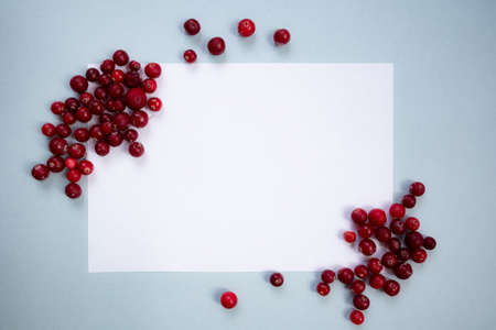 Cranberry berries on a light background around a white dough sheet.の写真素材