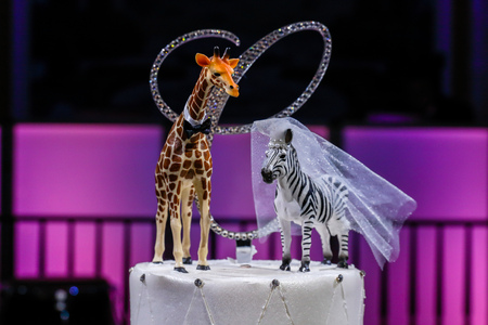 White Wedding Cake on the brides' and groom's tableの写真素材
