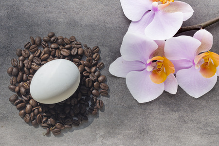 Coffee beans and Easter egg with Orchid on greyの写真素材