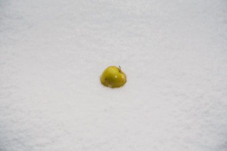 Fresh apple on fresh snow background outdoorsの写真素材