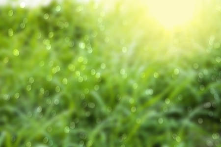 green grass fieldの写真素材