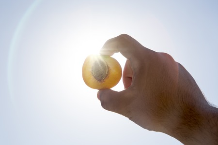Close-up of peach half in crop male hand on background of sunlight and sky.の写真素材