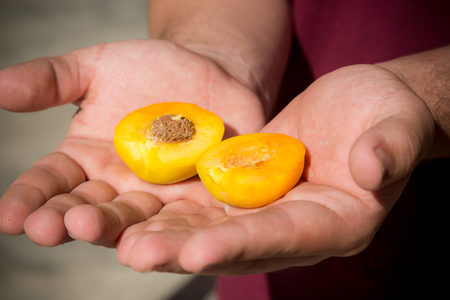 Close-up shot of male hands holding sliced ripe peach on palms.の写真素材