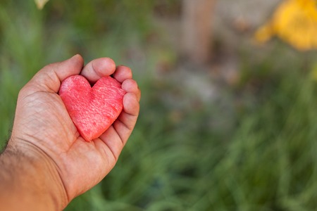Male holding in hands piece of watermelon shaped like heart. cope space.の写真素材