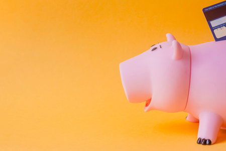 saving money for travel concept. pig bank with credit card on yellow backgroundの写真素材
