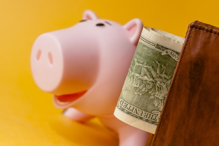 wallet with dollars, piggy bank and pile of coins on yellow backgroundの写真素材