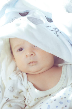 Adorable cute newborn baby boy on white background. The lovely child wore on rabbit costume with...
