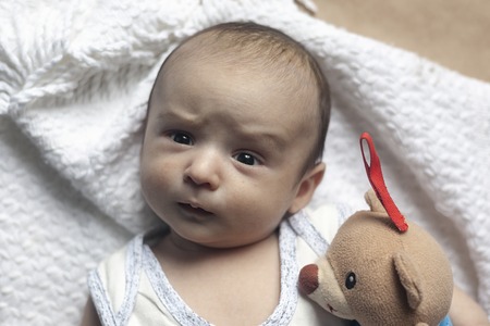 2 month baby boy lying. Close-up of adorable cute newborn baby boy of two months. Baby with suspicious face. Serious little kid. Emotional development in children. Lovely child playing with plush toyの写真素材