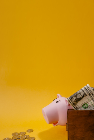 wallet with dollars, piggy bank and pile of coins on yellow backgroundの写真素材