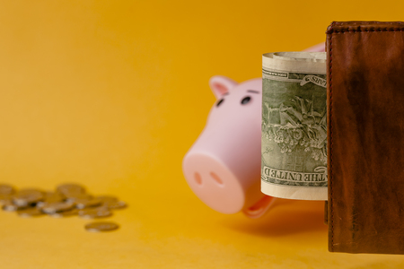 wallet with dollars, piggy bank and pile of coins on yellow backgroundの写真素材