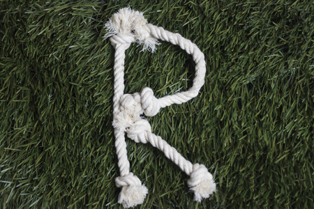Rope latin alphabet on grass. Letter Rの写真素材