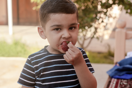 A little boy eating strawberries. Summer food. A young kid eats a yummy strawberry in hot summer day.の写真素材